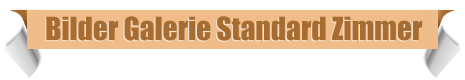 Bilder Galerie Standard Zimmer
