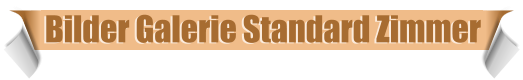 Bilder Galerie Standard Zimmer