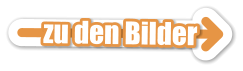 zu den Bilder